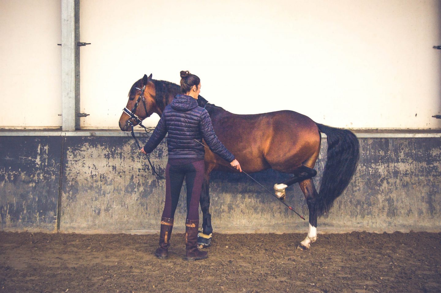 Piaffe aan de hand